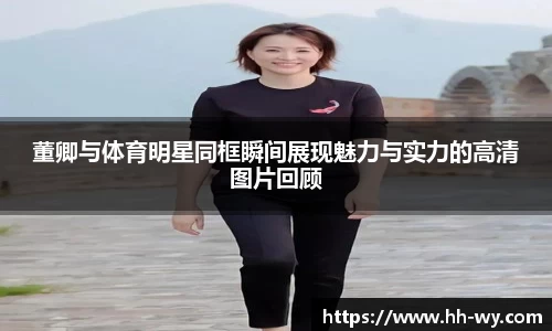 董卿与体育明星同框瞬间展现魅力与实力的高清图片回顾
